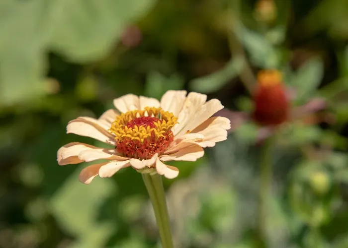 Sunset House Βίλα *