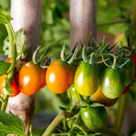 Sunset House וילה Karousádes